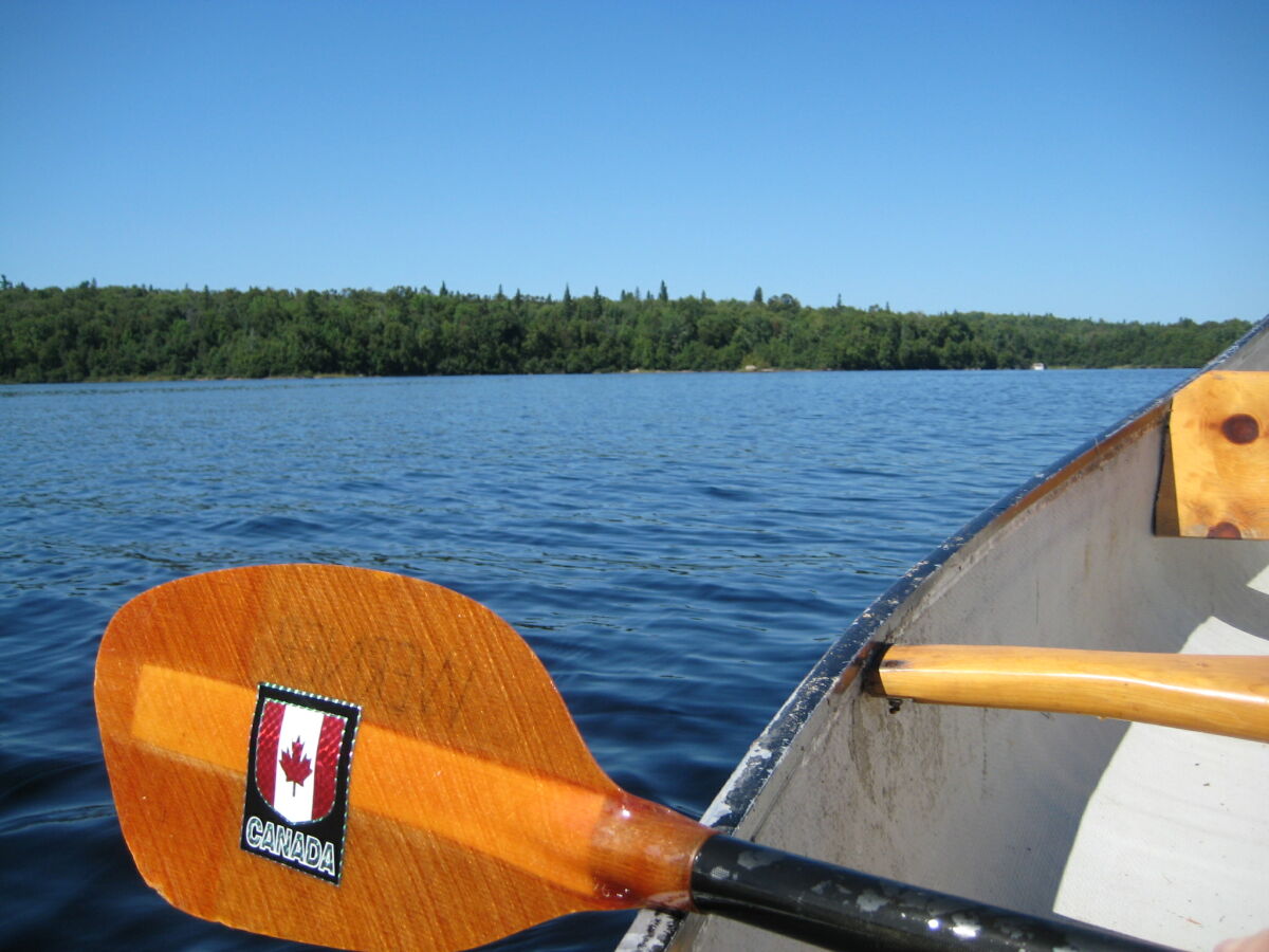 Boat Tour