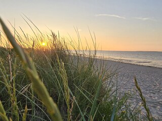 Schillig Strand