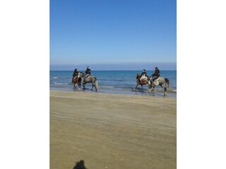 Appartamento per vacanze Monte Porzio Ambiente 27