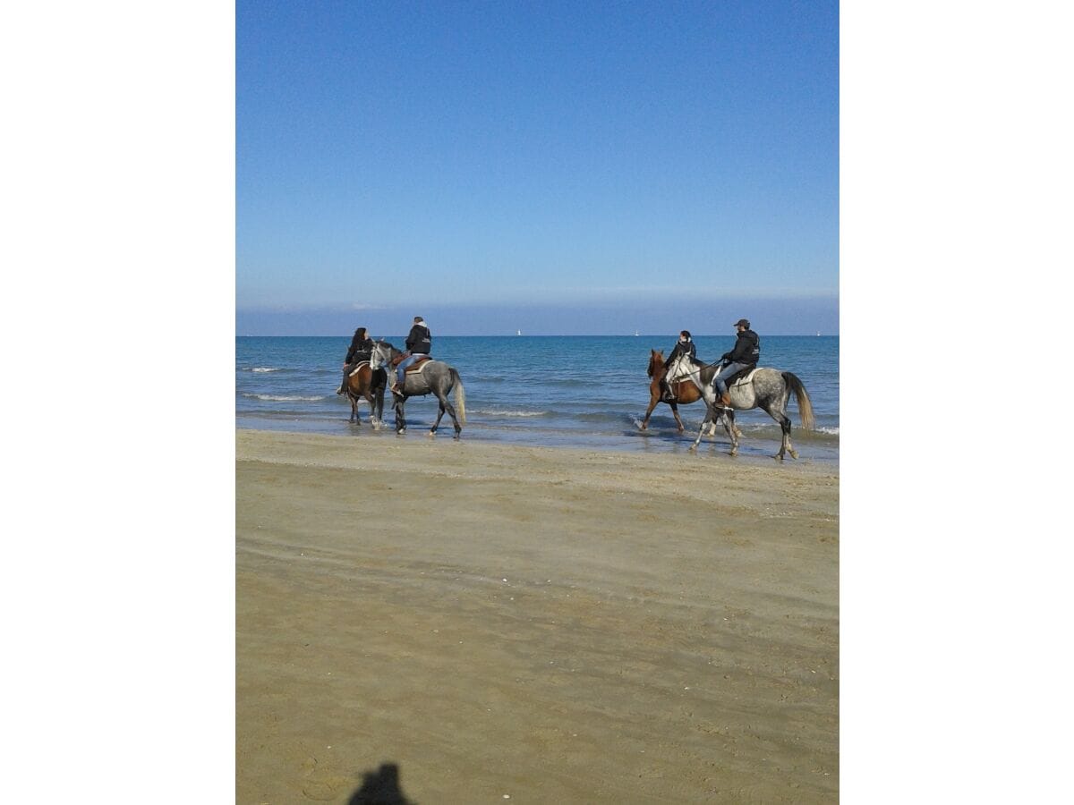 Reiten am Strand von Senigallia