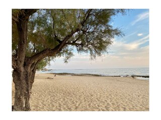 Casa per le vacanze Manduria Ambiente 27