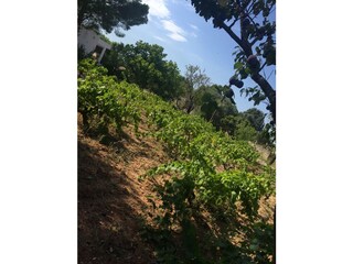 Casa per le vacanze Manduria Registrazione all'aperto 9