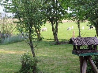 Blick in den Garten