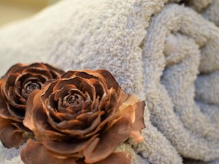 Appartamento per vacanze Burgstall Caratteristiche 10