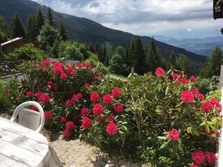 Appartamento per vacanze St. Stefan im Lavanttal Registrazione all'aperto 9