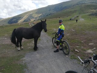 Holiday apartment St. Stefan im Lavanttal Environment 36