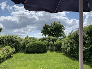 Holiday house Friedrichskoog Outdoor Recording 8