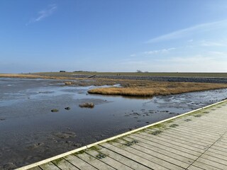 Holiday house Friedrichskoog Outdoor Recording 13