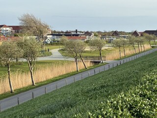 Blick vom neuen Deich
