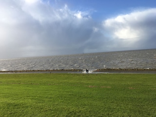 Holiday house Friedrichskoog Outdoor Recording 5