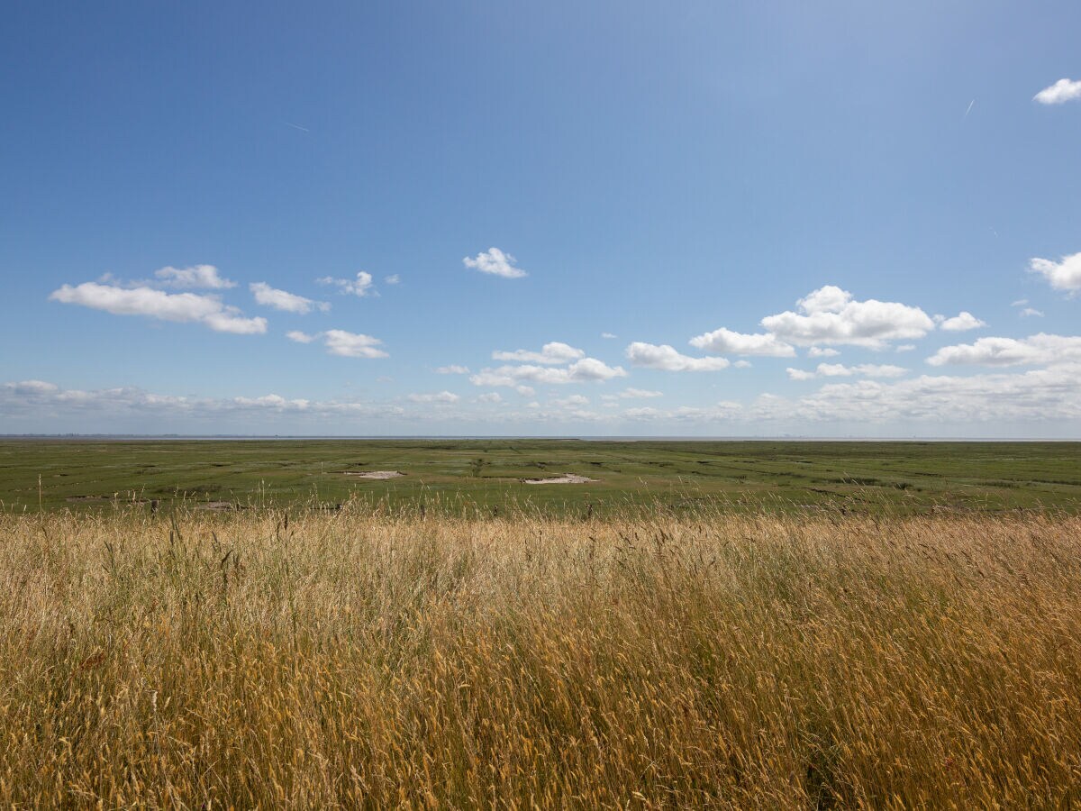 Ferienhaus Seewind, Juist, Firma JuistFerien - Frau Nandya Lehniger-Barels