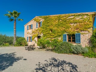 Villa Alcudia Registrazione all'aperto 16