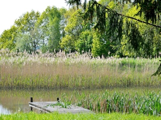 Blick auf den See