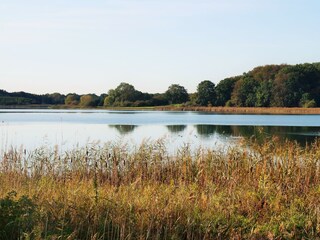 Röggeliner See