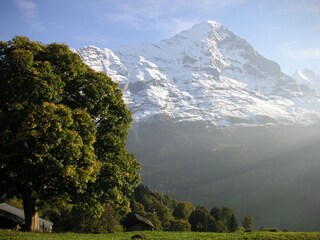 Walks in the Grindelwald Valley