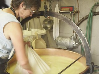 Visit to the Alpine pastures – Alpine cheese dairy