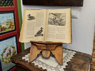 Maison de vacances Welt  29