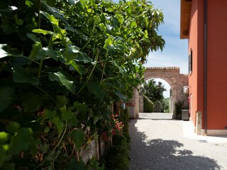 Ferienhaus Bardolino Außenaufnahme 5