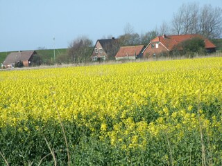 Ferienhaus Norddeich  22