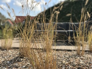 Casa per le vacanze Kamperland Ambiente 35