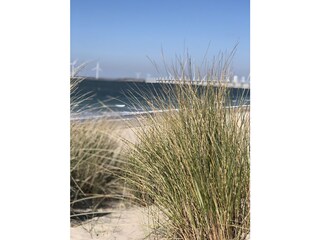 Casa per le vacanze Kamperland Ambiente 36