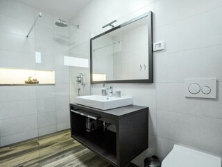 Villa Rojnići Caratteristiche 24