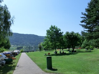 Beautiful large green area with plenty of shady trees