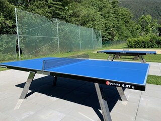 Two new high-quality table tennis tables