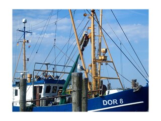 Ferienwohnung Dorum-Neufeld Ausstattung 20