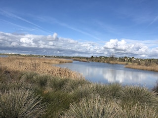 Villa Carvoeiro Environnement 25