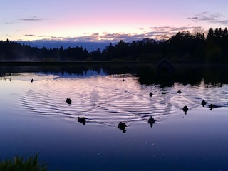 Kranichsee