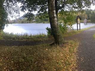 Viele Wege führen in den Harz...Kranichsee