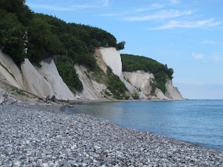 Kreidefelsen auf Rügen.