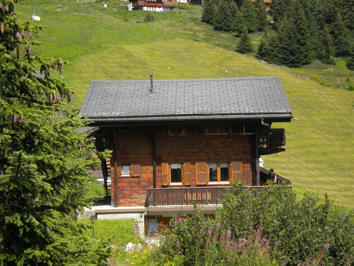 Chalet am Sonnenhang Sommer