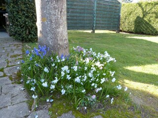 Appartamento per vacanze St. Peter-Ording Caratteristiche 16