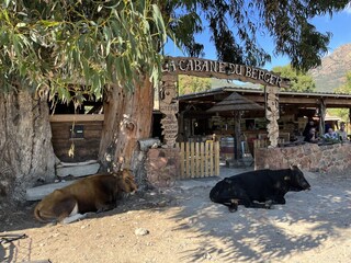 Appartamento per vacanze Lumio Ambiente 38