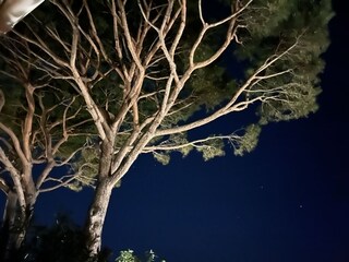 Casa de vacaciones Lumio Grabación al aire libre 9