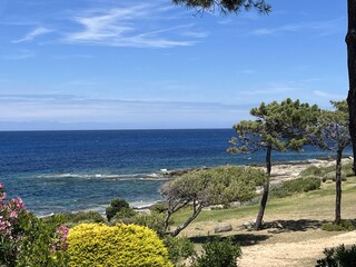 Blick auf meer und Gärten