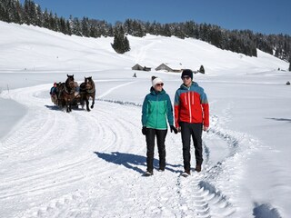 Appartamento per vacanze Schoppernau Ambiente 26