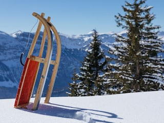 Schlitten produziert im Bregenzerwald