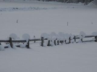 Appartamento per vacanze Schoppernau Registrazione all'aperto 6