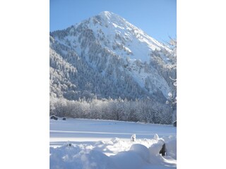 Vakantieappartement Schoppernau Omgeving 35