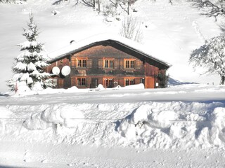 Appartamento per vacanze Schoppernau Ambiente 17