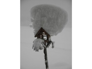 Appartamento per vacanze Schoppernau Ambiente 36