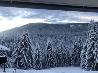 Appartamento Bad Kleinkirchheim Registrazione all'aperto 11