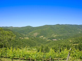 Villa Cortona Environment 10