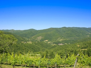 Villa Cortona Environnement 10