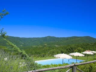Villa Cortona Swimming Pool 38