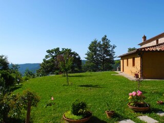 Casa per le vacanze Cortona Registrazione all'aperto 6
