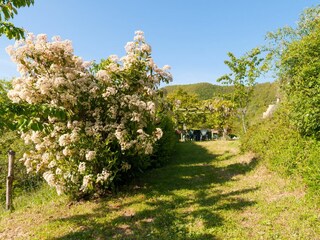 Casa per le vacanze Cortona Registrazione all'aperto 5
